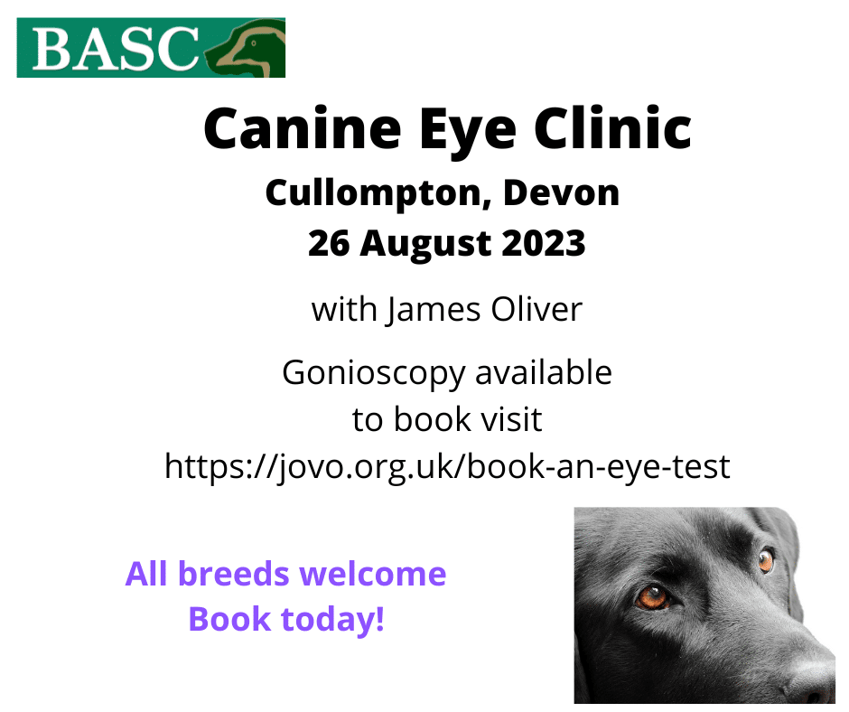 Canine cheap eye doctor